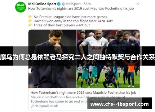 魔鸟为何总是依赖老马探究二人之间独特默契与合作关系 魔鸟为何总是依赖老马探究二人之间独特默契与合作关系