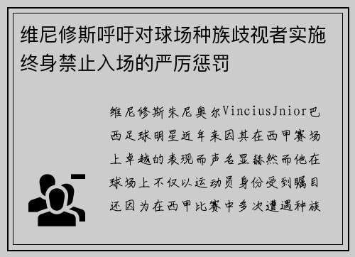 维尼修斯呼吁对球场种族歧视者实施终身禁止入场的严厉惩罚 维尼修斯呼吁对球场种族歧视者实施终身禁止入场的严厉惩罚